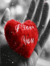 Chiase.wapsite.me animationlove 68