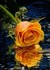 Chiase.wapsite.me hoa 07