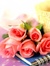 Chiase.wapsite.me hoa 09