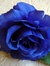 Chiase.wapsite.me hoa 11